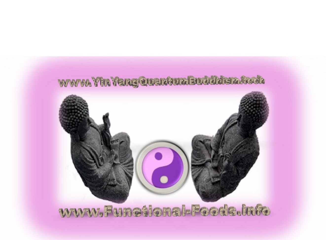 yin yang quantum buddhism